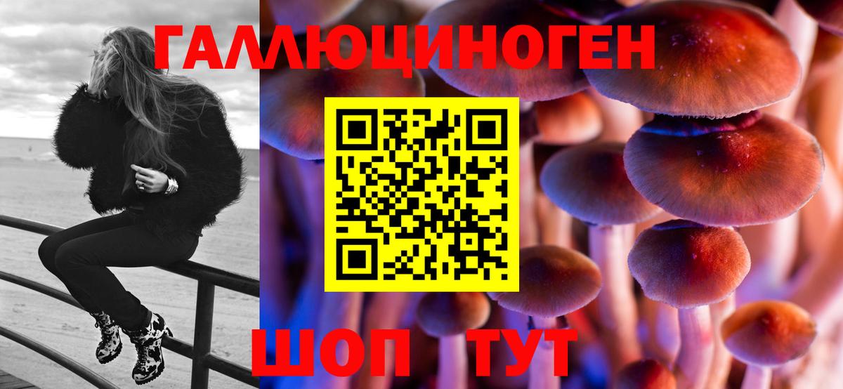 Галлюциногенные грибы MAGIC MUSHROOMS Котовск