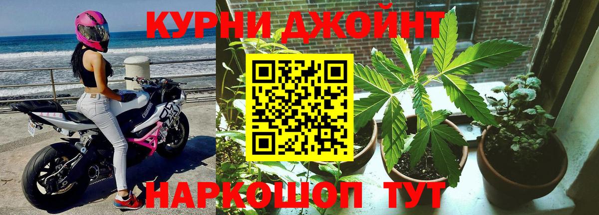 МАРИХУАНА сатива  Бошки марихуана Amnesia  Котовск  Марихуана ГИДРОПОН  Каннабис план  Вход с VPN 